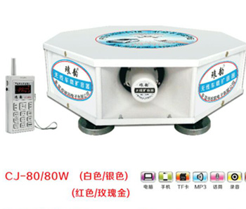 CJ-80/80Wסytõ